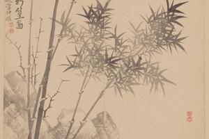 范廷镇花卉册