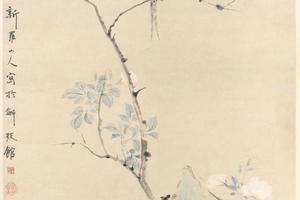 华嵒蔷薇山鸟轴
