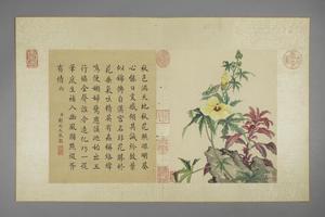 蒋廷锡花卉图册