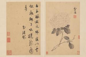 孙克弘花卉册