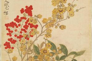 范廷镇花卉图册