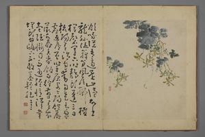 黄慎花卉图册