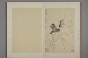 华喦杂画册