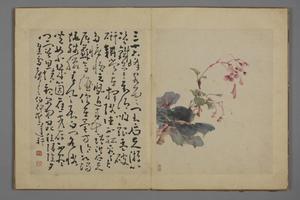 黄慎花卉图册