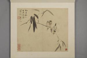 华喦花鸟册