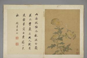项圣谟花卉册