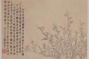 金农梅花册