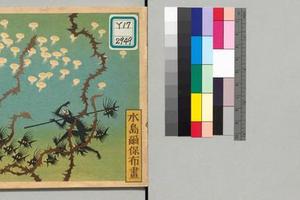 绘本西游记.1950年（上）-画册