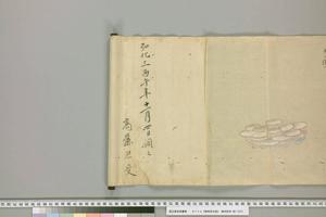 動物写生図-画册