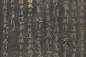 杏林春暖-养生医疗趣味书-画册