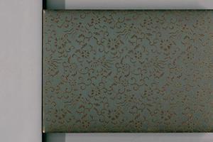 花隐樱花帖.一册封面-画册
