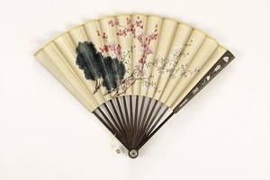 清人花卉成扇-画册