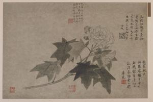 芙蓉花图页