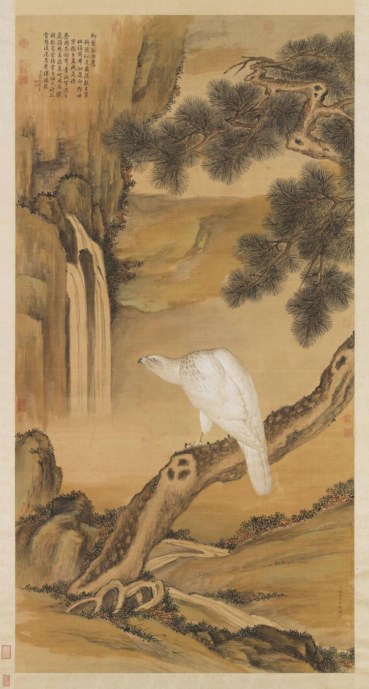 清郎世宁画白鹰轴