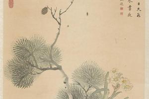 牡丹水仙松