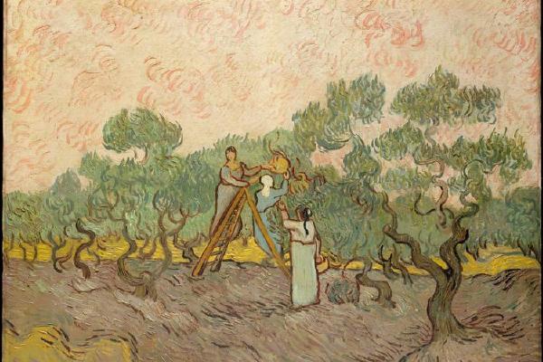 Women Picking Olives1889
