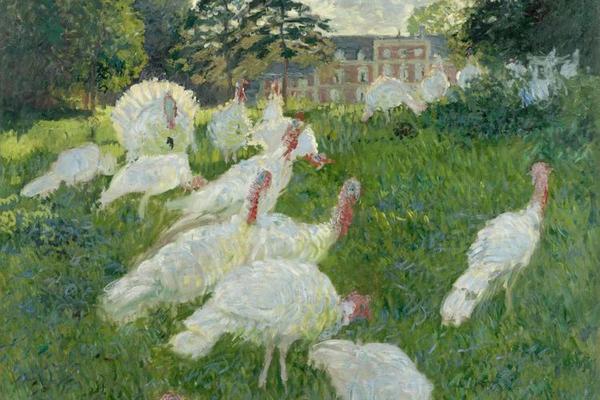 Turkeys, 1876