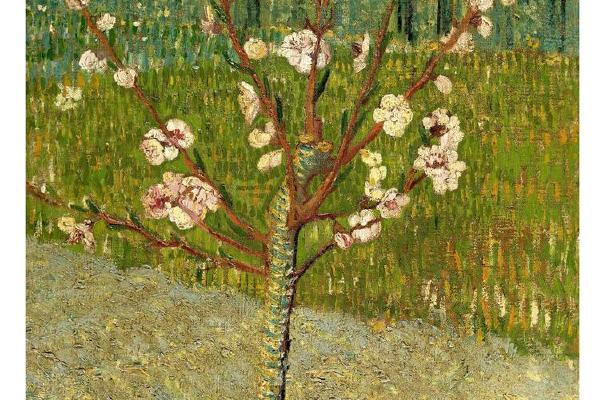 Almond tree in blossom (April 1888 - 1888)