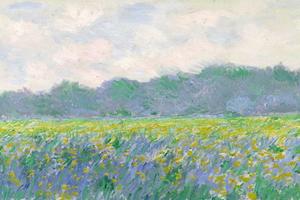 Field of Yellow Irises at Giverny, 1887