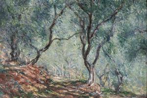 Olive Tree Wood in the Moreno Garden, 1884