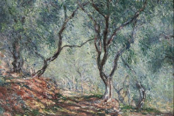 Olive Tree Wood in the Moreno Garden, 1884