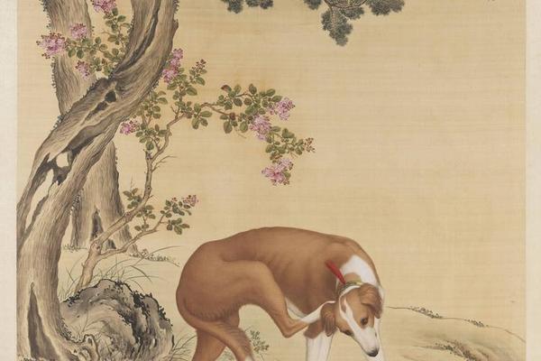 清郎世宁画十骏犬金翅猃轴