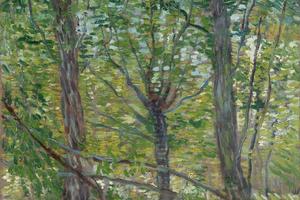Trees July 1887