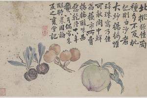 花鸟十二开10