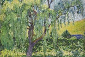 Giverny, Willow and Roses