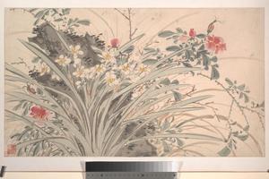 花卉图6