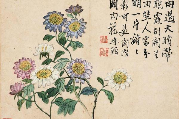 花卉十二开12