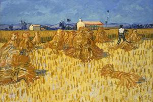Corn Harvest in Provence 1888