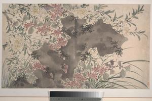 花卉图1