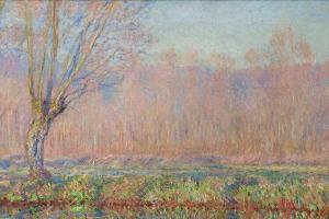 The Willows, 1885