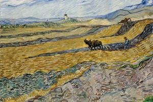 Enclosed Field with Ploughman 1889