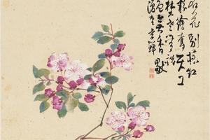 花卉十二开8
