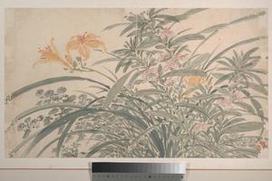 花卉图10