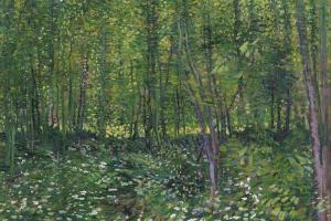 Trees and undergrowth (July 1887 - 1887)