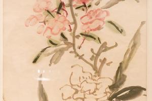 花卉