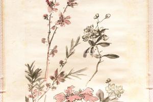 花卉