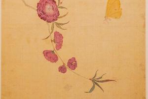 花鸟草虫图册