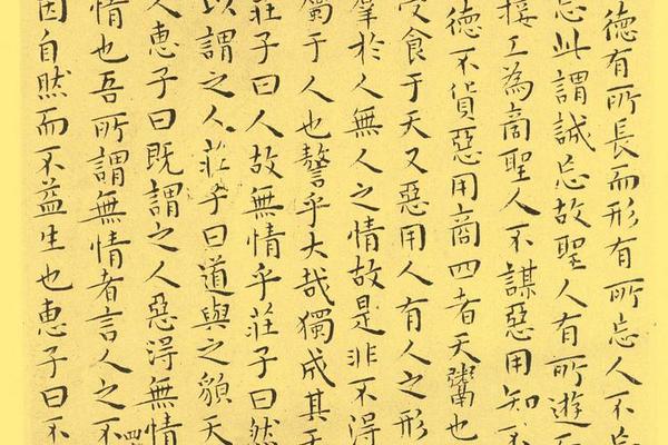 南华真经小楷42