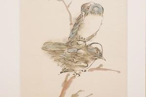 花鸟