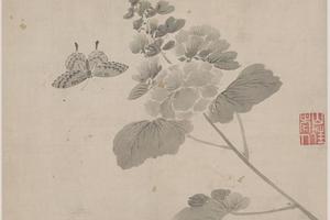 花蝶草虫6