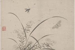 花蝶草虫8