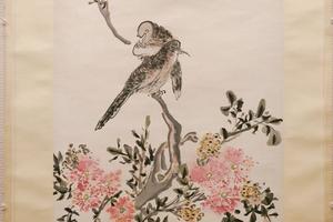 花鸟