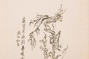 墨梅