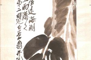 芭蕉