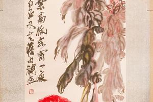 鸡冠花