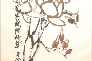玉兰花